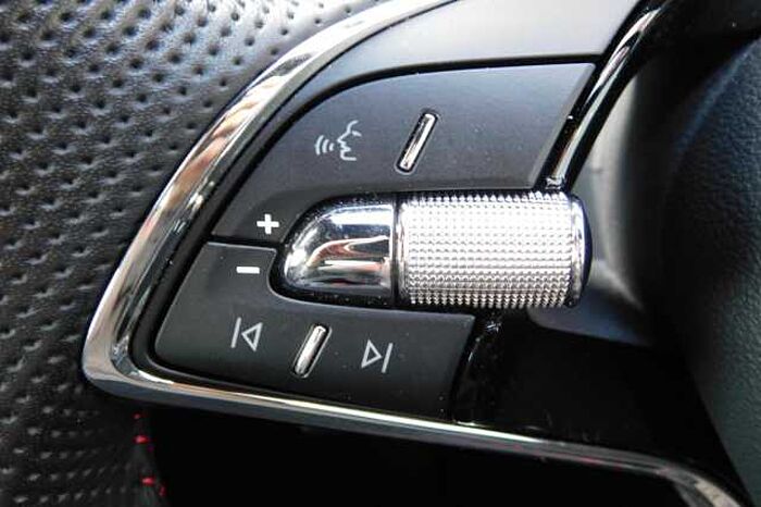 SKODA Octavia 1.4 TSI iV vRS 5dr DSG 